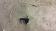 84 85 86 87 88 89 90 91 92 93 Mercedes Benz 190E Door Ajar Open Switch M31