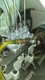 Kubota injection pump # 104139-4150