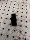 2016-2022 Acura ILX Impact Sensor OEM 77970-TX6-A010 Lot#11