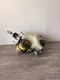 2002-2010 LEXUS SC430 ABS BRAKE PUMP HYDRAULIC ANTI LOCK ACTUATOR SYSTEM OEM