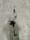 RAM15NEW  2019 Steering Gear/Rack 3174420