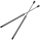 Rear Hatch Lift Supports for Mini Cooper 02 03 04 05 06 07 08 09 10 11 12 13 14