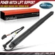 Rear Left Tailgate Power Hatch Lift Supports for Chevy Equinox GMC Terrain 18-22
