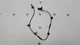 Tesla Model Y 2020 Front Right/Left ABS Wheel Speed Sensor 1044761-00-F OEM