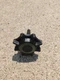 02 03 04 05 06 Mini Cooper Hatchback Power Steering Fluid Reservoir Cap