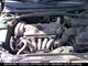 Chassis ECM Transmission Fits 00-04 VOLVO 70 SERIES 917603