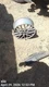 WHEEL/RIM ONLY OEM 07-15 MINI MINICOOPE 36116784130