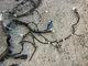 ✝️MASERATI GHIBLI ENGINE BAY WIRE WIRING HARNESS AND FUSE BOX 670008650 OEM