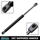 1 Front Hood Lift Support Shock Strut for Porsche Cayenne 2003 2004 2005-2012
