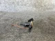 Mercedes W221 S400 S63 S550 Cl550 Fuel Vapor Canister Purge Emission Valve oem