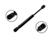 FCS Trunk Lid Lift Support Fits 2004-2011 Mazda RX-8