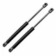 2x Liftgate Lift Support Strut 2012-2013 Mazda 5 C513-62-620C C513-63-620C