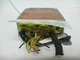 2005-2006 NISSAN ALTIMA TRANSMISSION COMPUTER ETC32-115N OEM